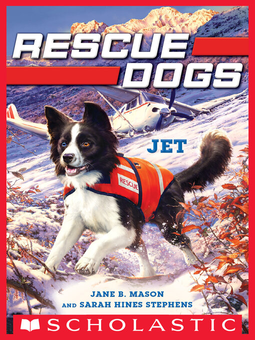 Cover image for Jet